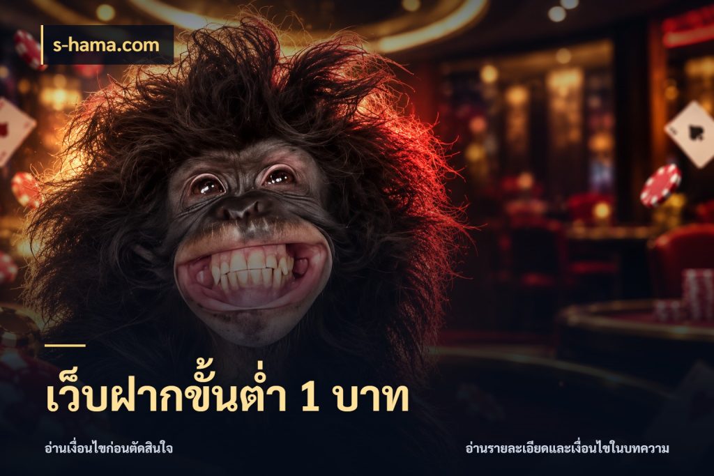 เว็บฝากขั้นต่ำ 1 บาท จำนวนเริ่มต้นกับสไตล์เกมที่ชอบ สไตล์ s-hama.com